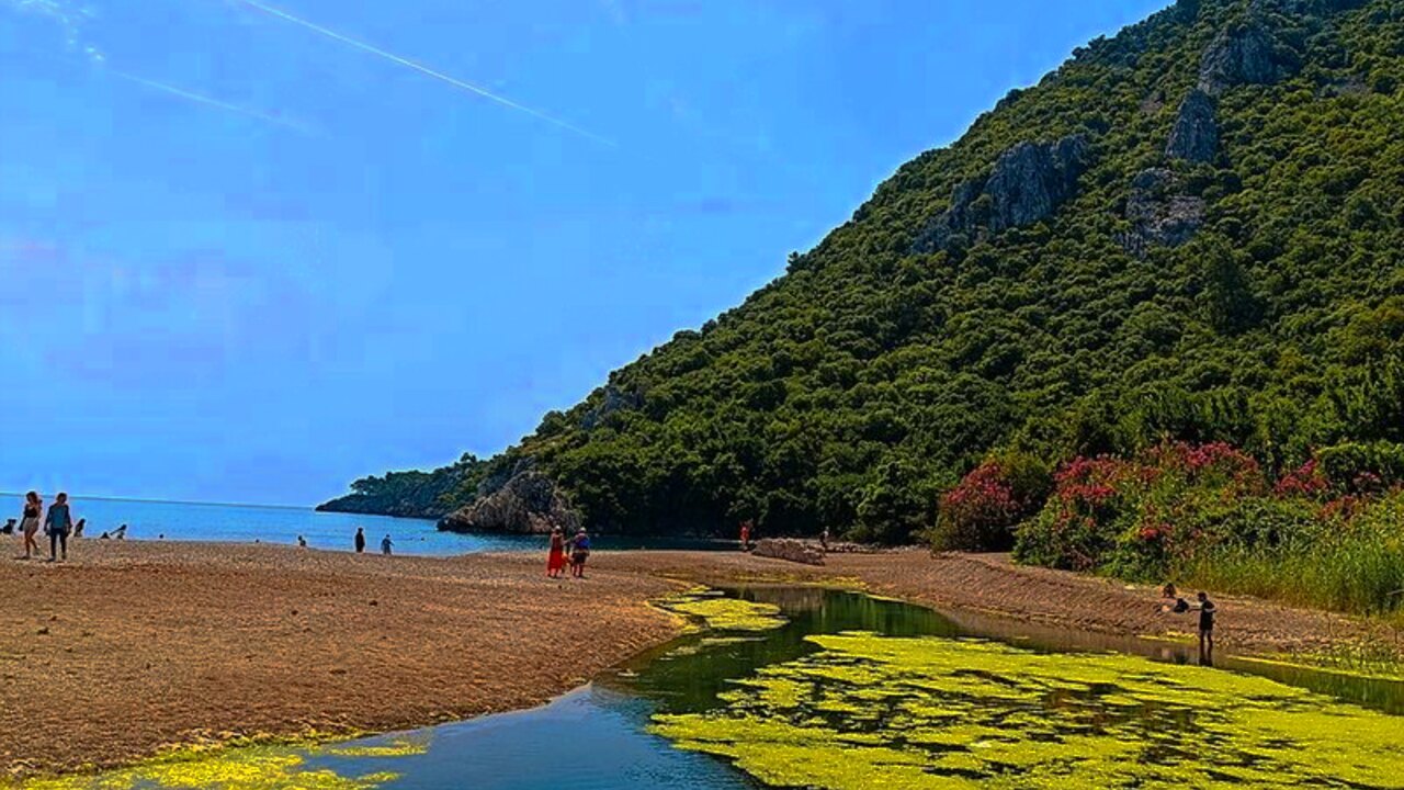 Zeka testleri